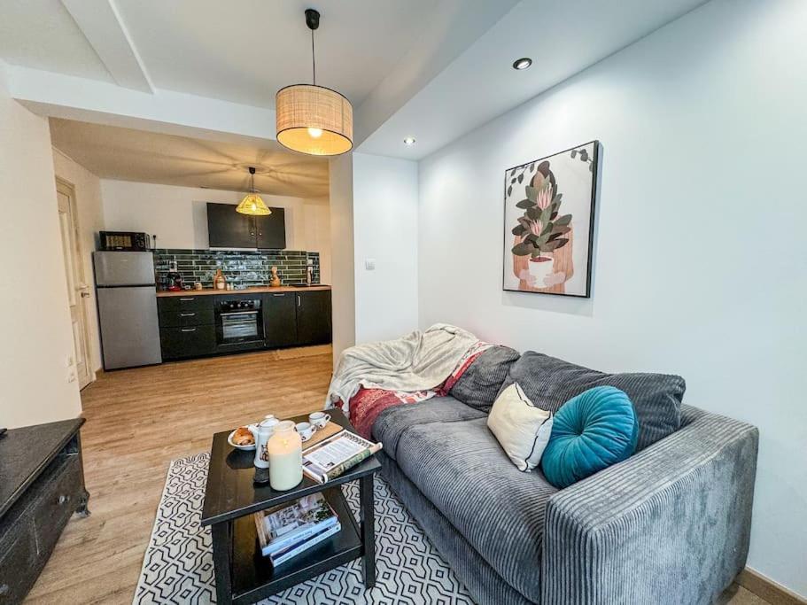 Elegance Au Coeur De Tarbes Apartment ภายนอก รูปภาพ